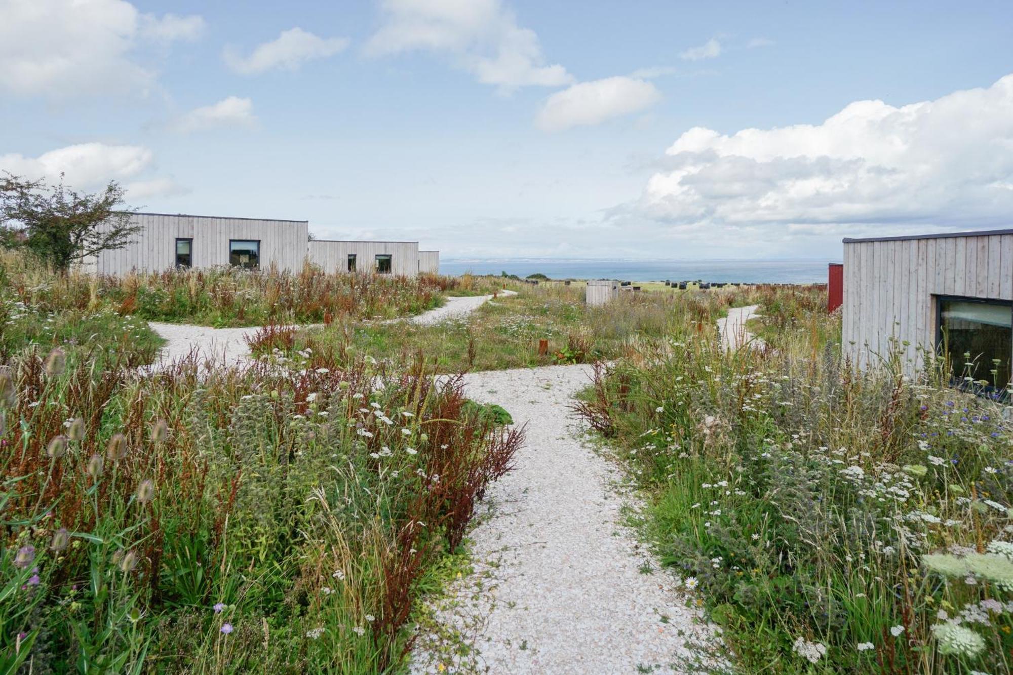 Rustic Cabins, Sea Views From Rewilded Farm With Highland Cows 세인트앤드루스 외부 사진