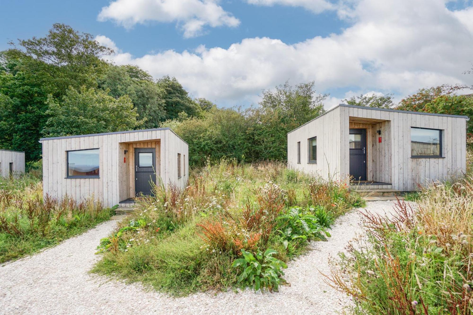 Rustic Cabins, Sea Views From Rewilded Farm With Highland Cows 세인트앤드루스 외부 사진